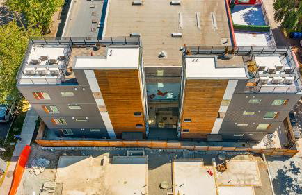 Dancing Wings Retreat Walker Paradise in Fremont - Photo 5