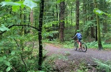 Jack's Hideaway - Foto 34