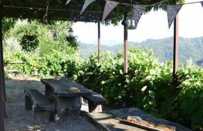 Agriturismo Selvapiana - Foto 19