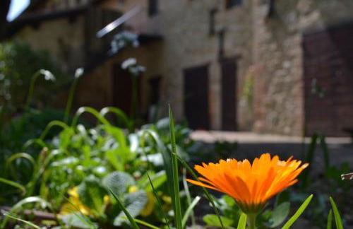 Agriturismo Nestore - Foto 59