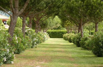 Agriturismo Villa Toscana - Foto 55