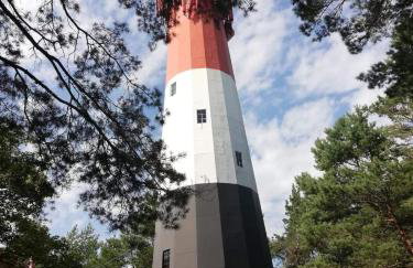 Słoneczny Zakątek Słajszewo - Foto 64