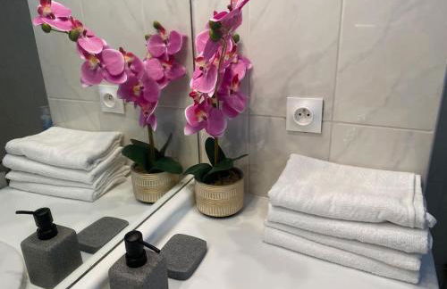 Magnifique duplex 45 m2 aux portes de Paris Metro Barbara à 30mn Expo Porte de Versailles - Foto 29