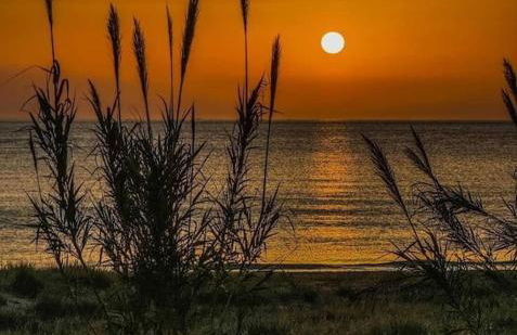 Casa De Lince calle Rio Ebro 48 - Foto 52