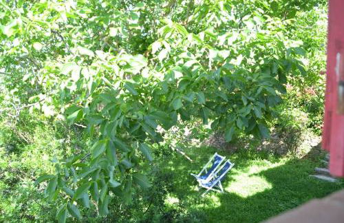 Il Rustico Vicopisano - Foto 34