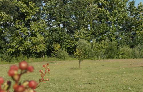 Casa Vacanze Riviera del Brenta - Photo 55