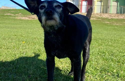 #MirrorSands - Foto 19