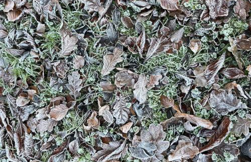 Lovely Carlung House - Foto 60