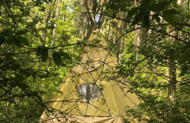 Das wilde Auwaldhaus - Foto 7