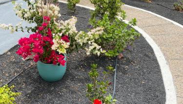 Casa Beatriz - Photo 2, Garden view
