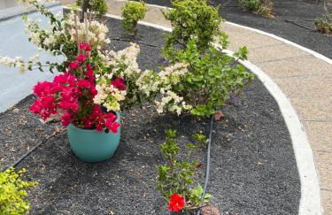 Casa Beatriz - Photo 2