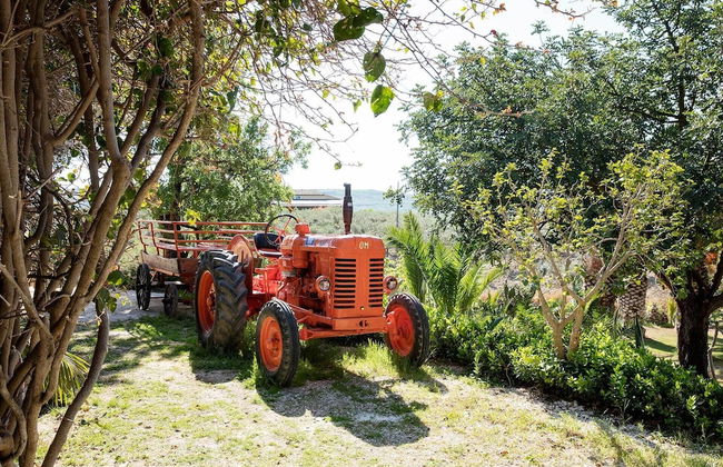Agriturismo Baglio Vecchio - Foto 54