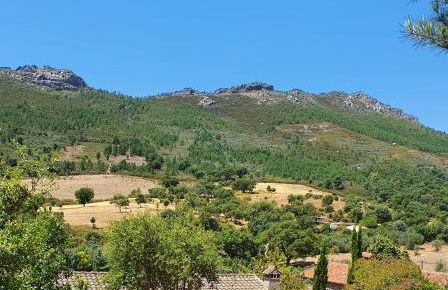 El Jiniebro Turismo Rural - Foto 10