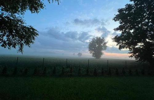 U Progu Lasu - Foto 69