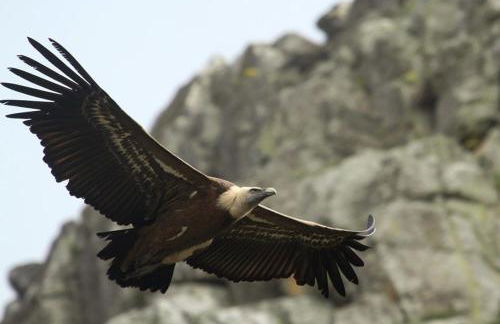 Posada de Amonaria - Foto 28