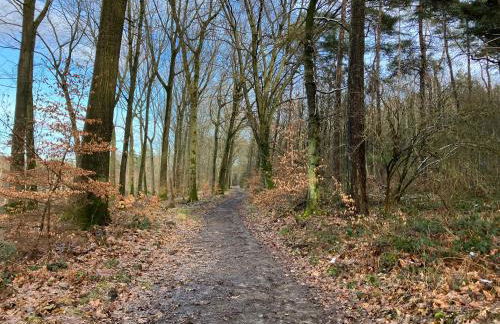 Ferienwohnung im Grünen mit Balkon - Foto 40