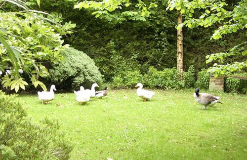 The Hayloft - Foto 21