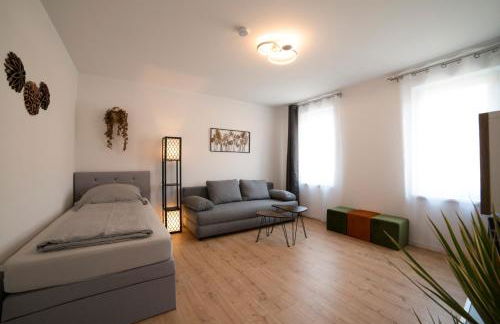 Schöne große Ferienwohnung 79m2 und 2 Bäder, Zentrumnah, 2OG - Foto 1
