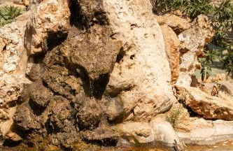 Agroturismo Son Marge - Photo 21