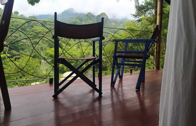 Ecohotel SoñArte - Foto 8