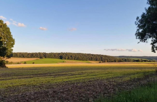 Family Villa in Ferrieres - Photo 43