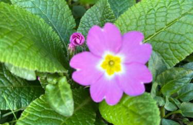 Casa Lastri - Foto 8