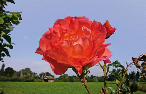 Baumanns Ferienhof Am See - Foto 27