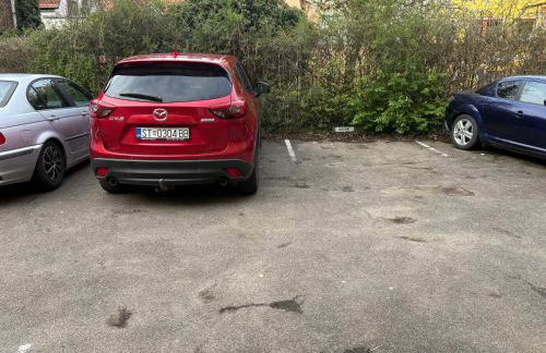 Junges Appartement - Foto 8