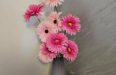 Apartmani Dado - Foto 47