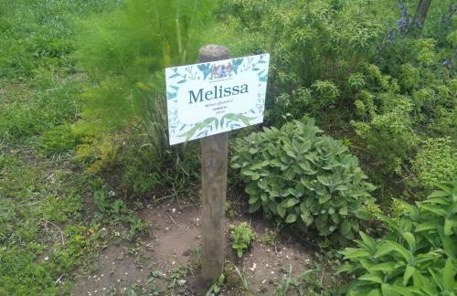 Masseria Fontana dei Fieri - Foto 61