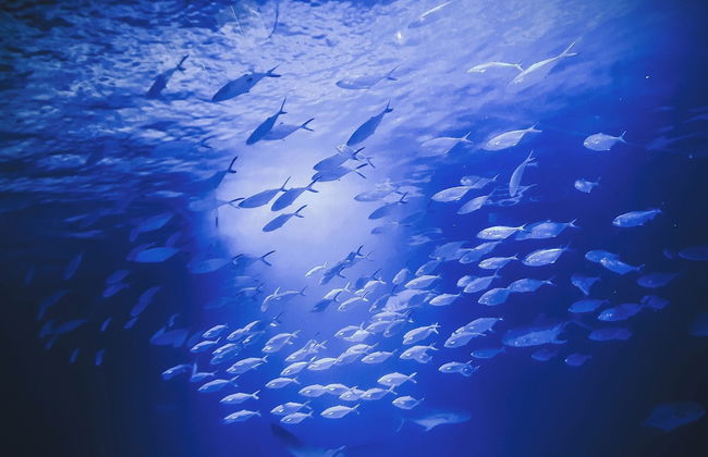 The Valentia Cabillers Hotel - Foto 50