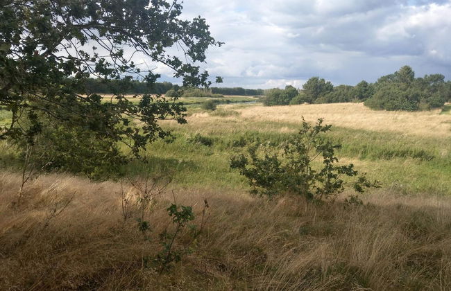 Charming Retreat by River - By Traum Ferienwohnungen - Photo 15