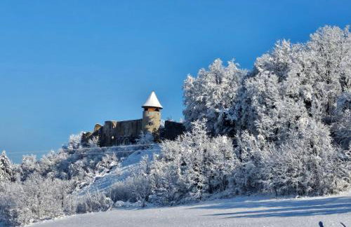 Kuća za odmor Šumska Vila - Foto 74