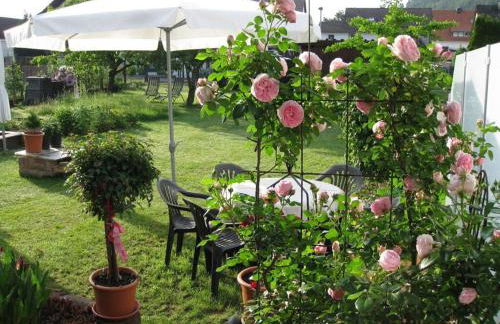 apartment Haus Renate Palatinate Forest - Foto 15