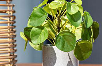 Villa Mika à 5min de la plage - Photo 50