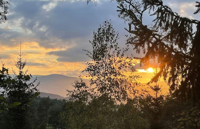 Holiday Home in Edlitz Near Ski Slopes - Foto 36