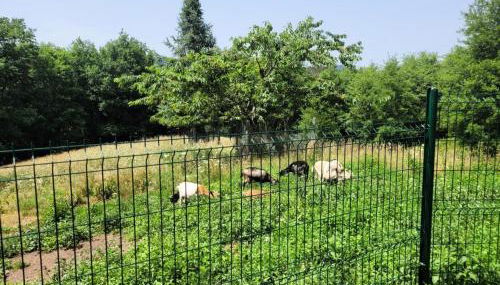 Gîte de France Gite capucine 2 épis - Gîte de France 2 personnes MAE-6564 - Foto 5