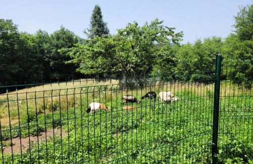 Gîte de France Gite capucine 2 épis - Gîte de France 2 personnes MAE-6564 - Foto 5