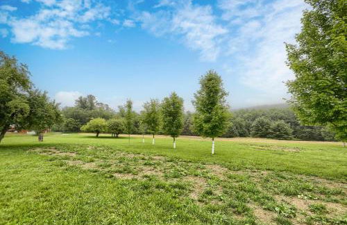 Spruce Valley Retreat - Foto 43