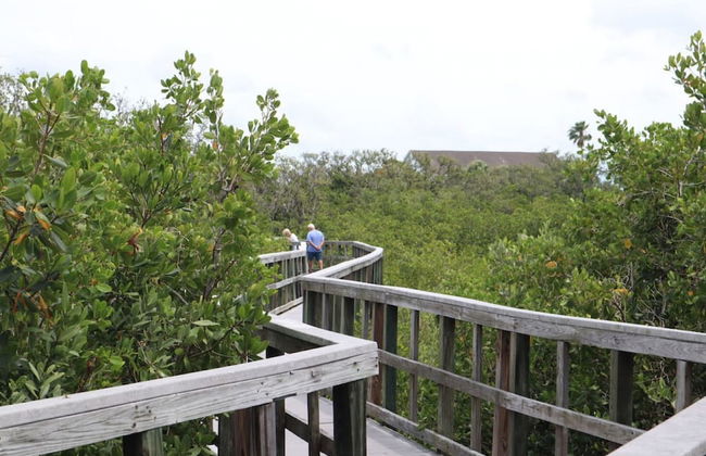Hibiscus Heated Pool Private Dock Bikes Kayaks Walk to Fishermen s Village - Foto 63