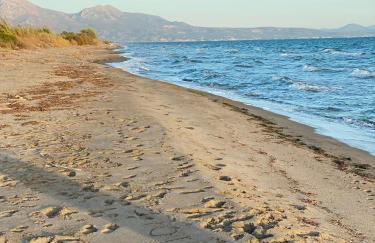 Villa Caretta - direkt an einem einsamen Strand im Süden des Peloponnes - Foto 16