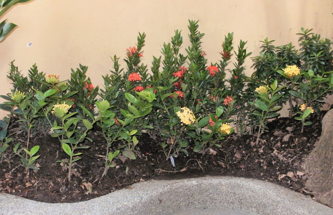 Cesar's House Guayaquil Home Rental - Photo 44