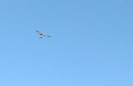 Casapraia - Photo 25