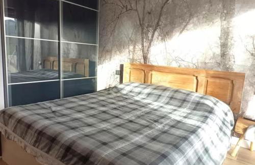 Bilocale I cervi a pochi passi dalle piste con vista Mondolè - Foto 29