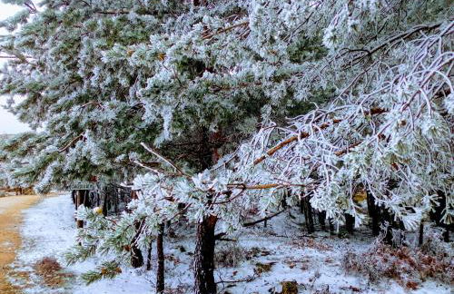 Miradouro da Branda - Foto 29