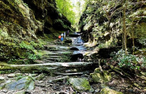 Chic Modern Cabin with Jacuzzi Ideal for Couples in Carbondale, Illinois - Foto 20