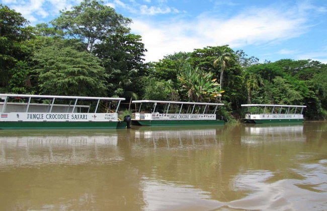 Safari de cocodrilos en la selva tropical - Foto 8