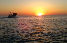 Kiara Residence - Foto 70