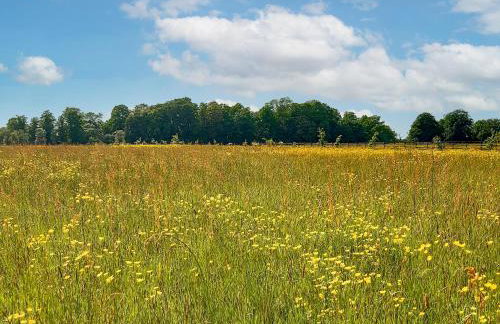 The Sunset Cabin - Photo 12