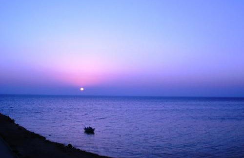 FAFALIOS Studios - Foto 31